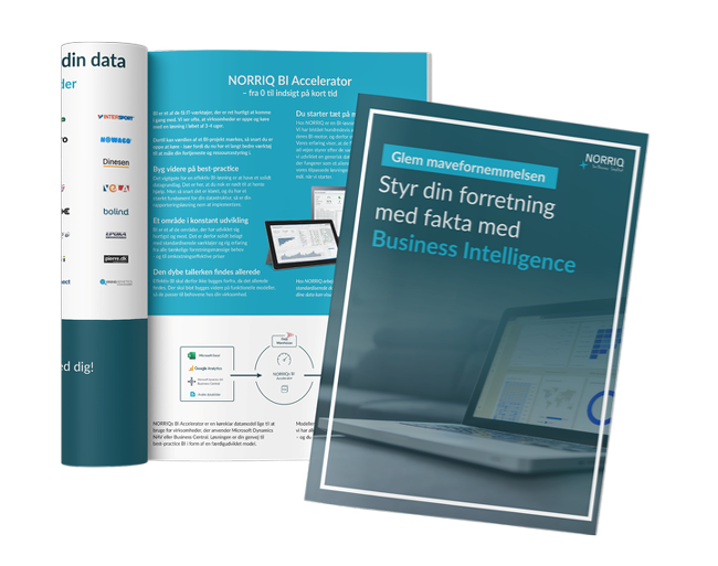 Bliv inspireret af vores gratis eBook om Business Intelligence